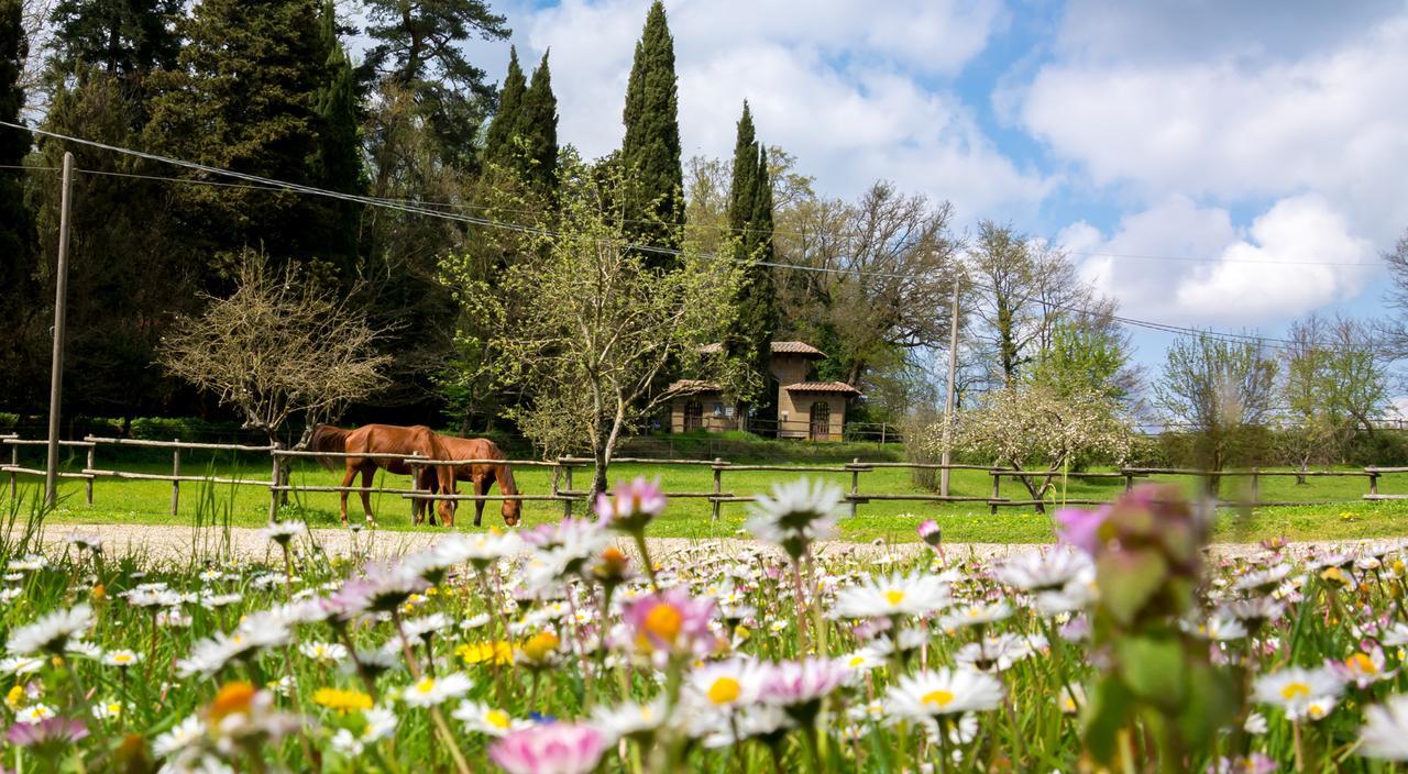 Castello Santa Cristina Villa Grotte di Castro Екстериор снимка